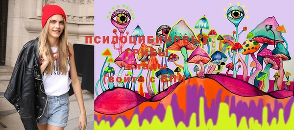 мяу мяу мука Бородино