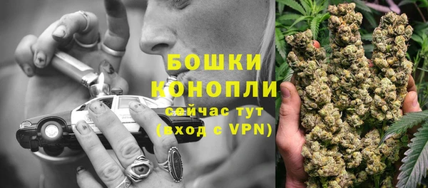 мяу мяу мука Бородино