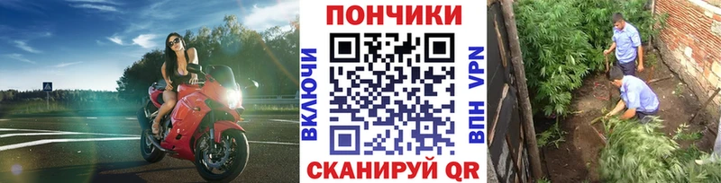 Марихуана Amnesia  Купить закладки  Чёрмоз 